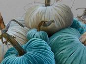 Calabazas terciopelo