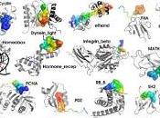Proteinuria
