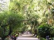 Jardín botánico Valencia