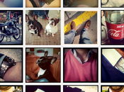 Resumen Instagram... Momentos ocio!