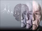Síntomas psicológicos conductuales demencia: prevención, diagnóstico tratamiento