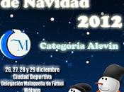 Torneo solidario navidad fútbol “diputación málaga” 2012-13