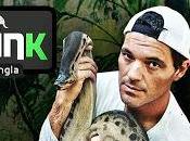 Frank jungla