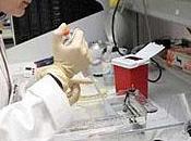 Biofármacos cubanos ganan espacio mercado