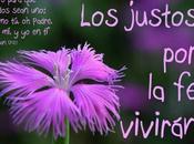 Misma Gloria