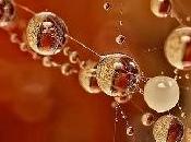 chatarra: imágenes para primer