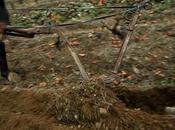 reflexión: ¡haz propio vino!