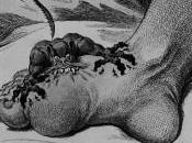 Diálogo entre Franklin Enfermedad