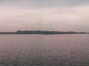 Apostillas sueltas lobos