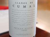 Llanos cumal 2008