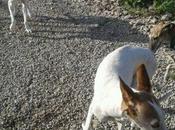 Atrás quedaron cuerda años sufrimiento