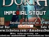 Amadeüs döria lleida