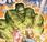 Nuevo teaser Marvel: Hulk Simonson aplastan