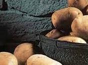 ciudad campo, plantando patatas, nofler