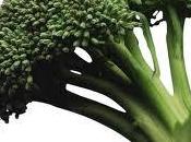 Brócoli: súper alimento nutritivo, saludable bajo calorías