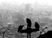 Cerros comunicantes