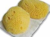 copa menstrual esponjas vaginales