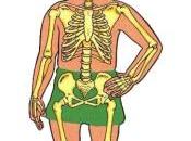 cosas sabías cuerpo…