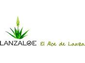 Probando Lanzaloe, Aloe Vera Auténtico Canarias
