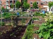 importancia agricultura urbana