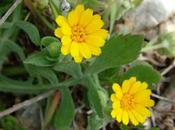 Calendario Laboral Almadén 2013