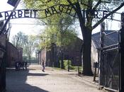 Auschwitz. museo horror