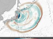 tsunami Japón formó enormes dunas submarinas