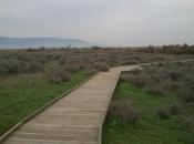 Ruta tablas daimiel