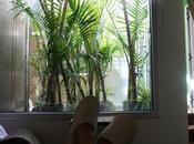Relax Plata