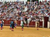 Informe: “Naturaleza razón novilladas caballos”