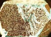 Investigadores descubren nuevo tipo magnetismo