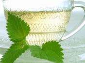 Blemish Balm, conocidas como cremas