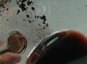 decantación vino