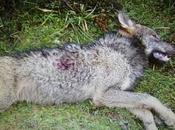 derogar Parque Nacional Picos Europa