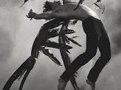 Reseña: Hush, Hush