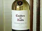 Casillero Diablo Reserva Sauvignon Blanc 2010