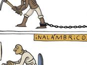 metamorfosis trabajo