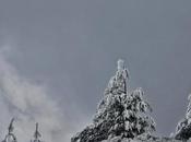 Nubes, nieve árboles
