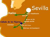 Celebrando humedales Cañada pájaros