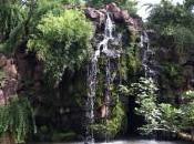 ¿qué salidas profesionales pueden tener esas cosas gustan bien?