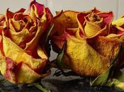 adolescentes miedo muerte