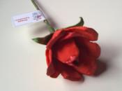 Rosas