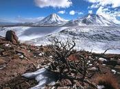 Desierto Atacama