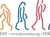 Celebra darwin