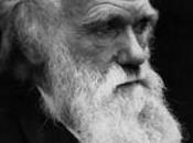 Charles Darwin teoría evolución