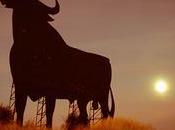 Toros dación pago