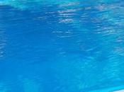 Relax