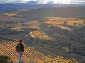 sabático Rioja