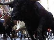 ...¡Siete Julio Fermín!