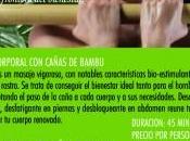 Nuevos tratamientos: Masaje Wave Touch Cañas Bambú